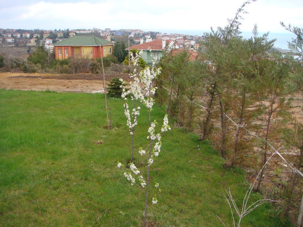 Titanik Pansiyon Şile Luaran gambar
